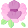 6T体育 logo