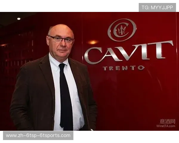 意甲球队股东：揭秘意甲俱乐部的股东结构与投资者背景