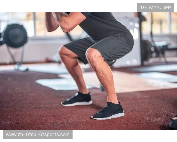 鹰伯尔运动工程学：科学健身的完美诠释