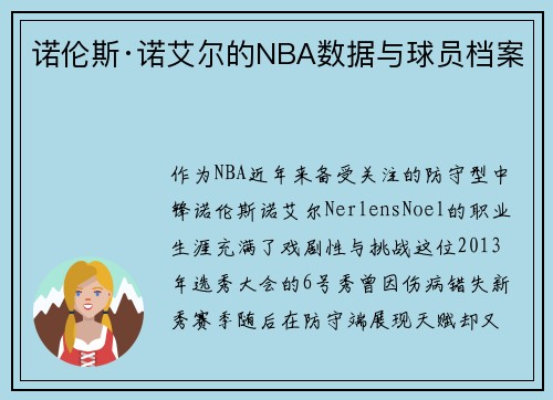 诺伦斯·诺艾尔的NBA数据与球员档案