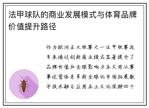 法甲球队的商业发展模式与体育品牌价值提升路径