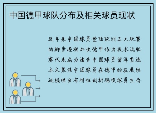 中国德甲球队分布及相关球员现状