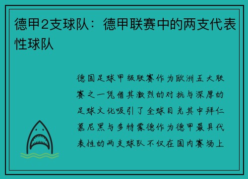 德甲2支球队：德甲联赛中的两支代表性球队